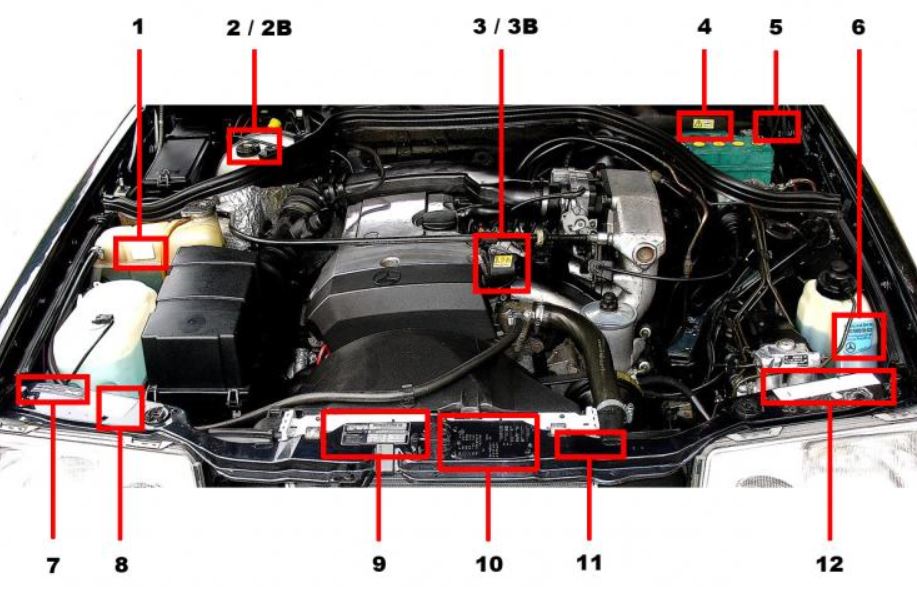 Mercedes-Benz Engine Bay Stickers Labels Decals – www.restartcar.eu